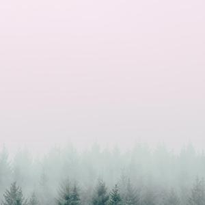 LOSTINTHEFOG