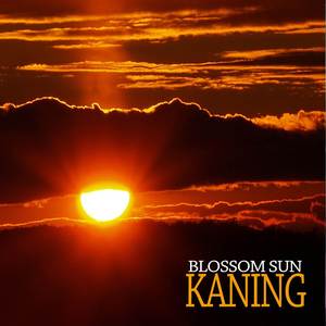 Comely Cynosure (Original Mix)