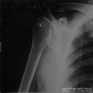 Nisha (Gordikov Remix)