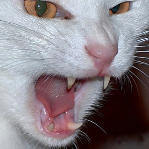 when i saw you for the first time