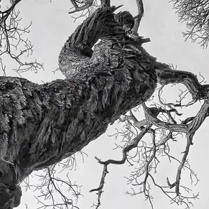 【FREE】DARKNESS×FREESTYLE Trap type beat