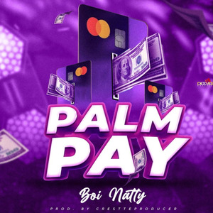 PALMPAY