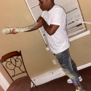 RHB(rollinghills baby)