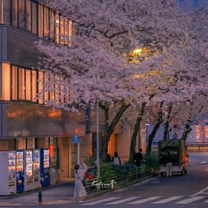 在深秋_20220408_144118