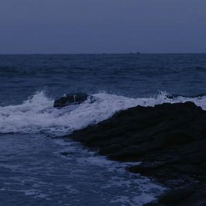 渡洋