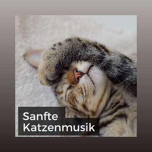 Katzenmusik