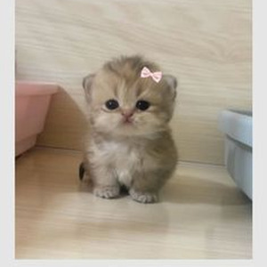 Close Eyes slowed reverb