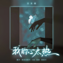 我的心太热 (DJ彭锐版)