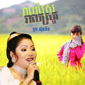 វាលស្រែវាលស្រូវ