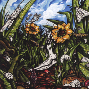 Ten Sleep Country War