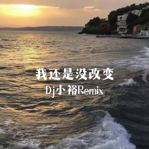 我还是没改变（Dj小裕Remix）