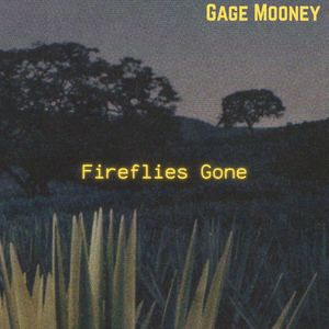Fireflies Gone