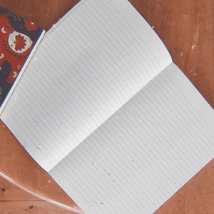 Write Me In (feat. Jessica Tomey)