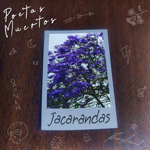 Jacarandas
