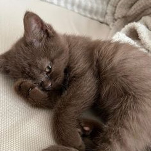 Mood Swings (sped up)