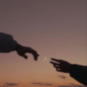 风与花（翻自 哈利波特：魔法觉醒 阡陌北南扒谱）