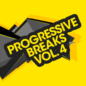 When You Love Someone (Breaks Mix)