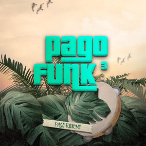 PAGO FUNK 3