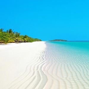 Our Journey to Happiness