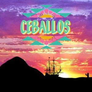 A Pirate Gets Drunk and Emotional With Friends