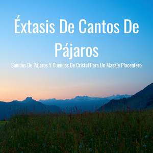 Jardín Zen De Aves