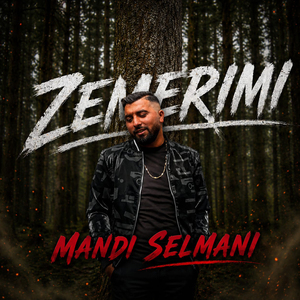 Zemerimi