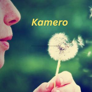 Kamero