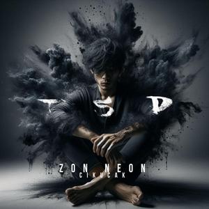 TSD (Tired Sick Done)