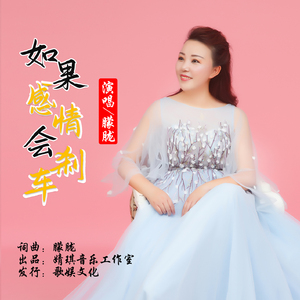 如果感情会刹车