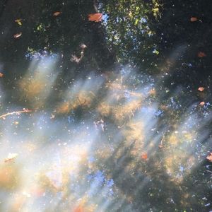 jerk x hoodtrap x sample type beat "no surprises"