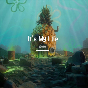 Dr. Alban-lt's My Life（Savior remix）