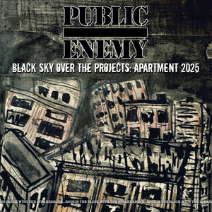Public Enemy Comin Throoooo