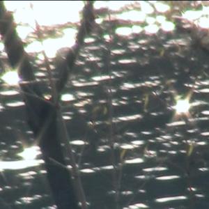 HELLO.(Prod.BigSwing)