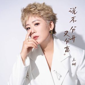 说不分开又离去