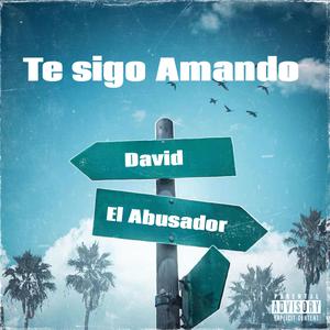 Te Sigo Amando