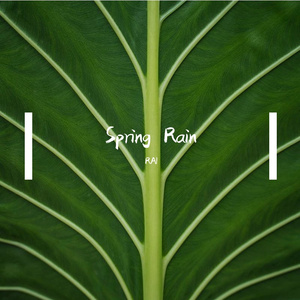 Spring Rain