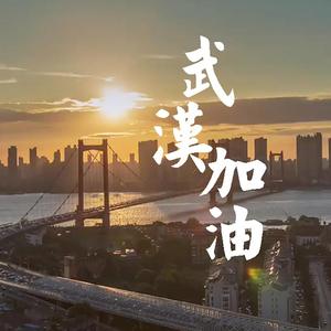 武汉加油(广西音乐人原创 为武汉加油)