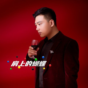 肩上的蝴蝶 (DJ何鹏版)