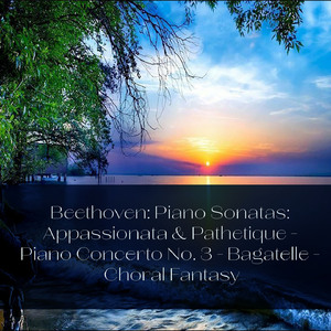 Piano Concerto No. 3 in C Minor, Op. 37:III. Rondo: Allegro