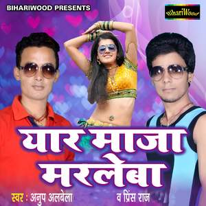 Piche Se Silencer Saat Gauve Re