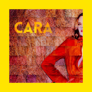 Cara