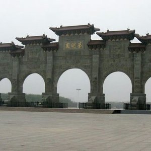 落叶归根的地方