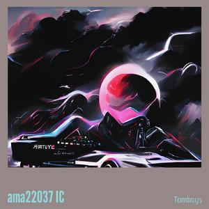 Ama22037 Ic