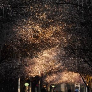 勇敢对抗世俗的眼光