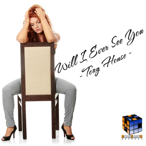 Will I Ever See You (Adrian Sanz Remix)