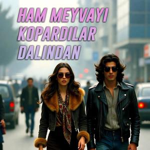 Ham Meyvayı Kopardılar Dalından