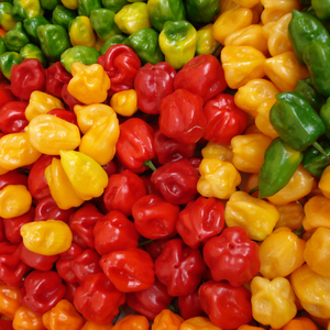 Pepe (feat. LewMan FayaPaw & Rayvanny)