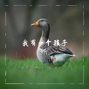 听了一夜雨