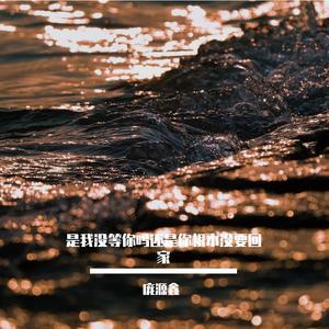 是我没等你吗还是你根本没要回家