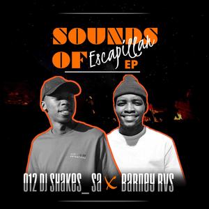 Makato Boyz (feat. Moekxa-89pc)